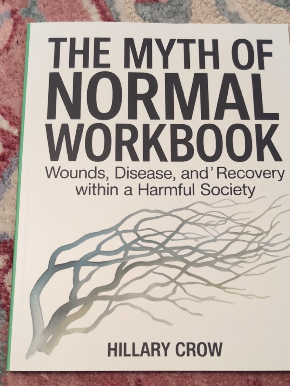 The Myth of Normal Workbook by Hillary Crow -